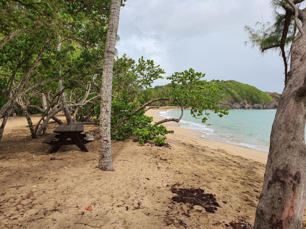 Vacance Au Soleil ! Studio Abricot 310 La Trinité Kültér fotó